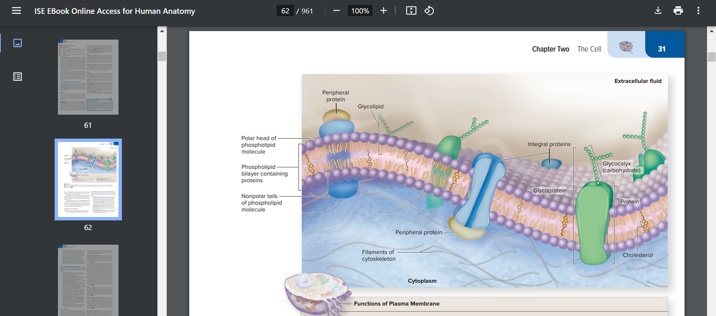 Human Anatomy 6th Edition Searchable PDF