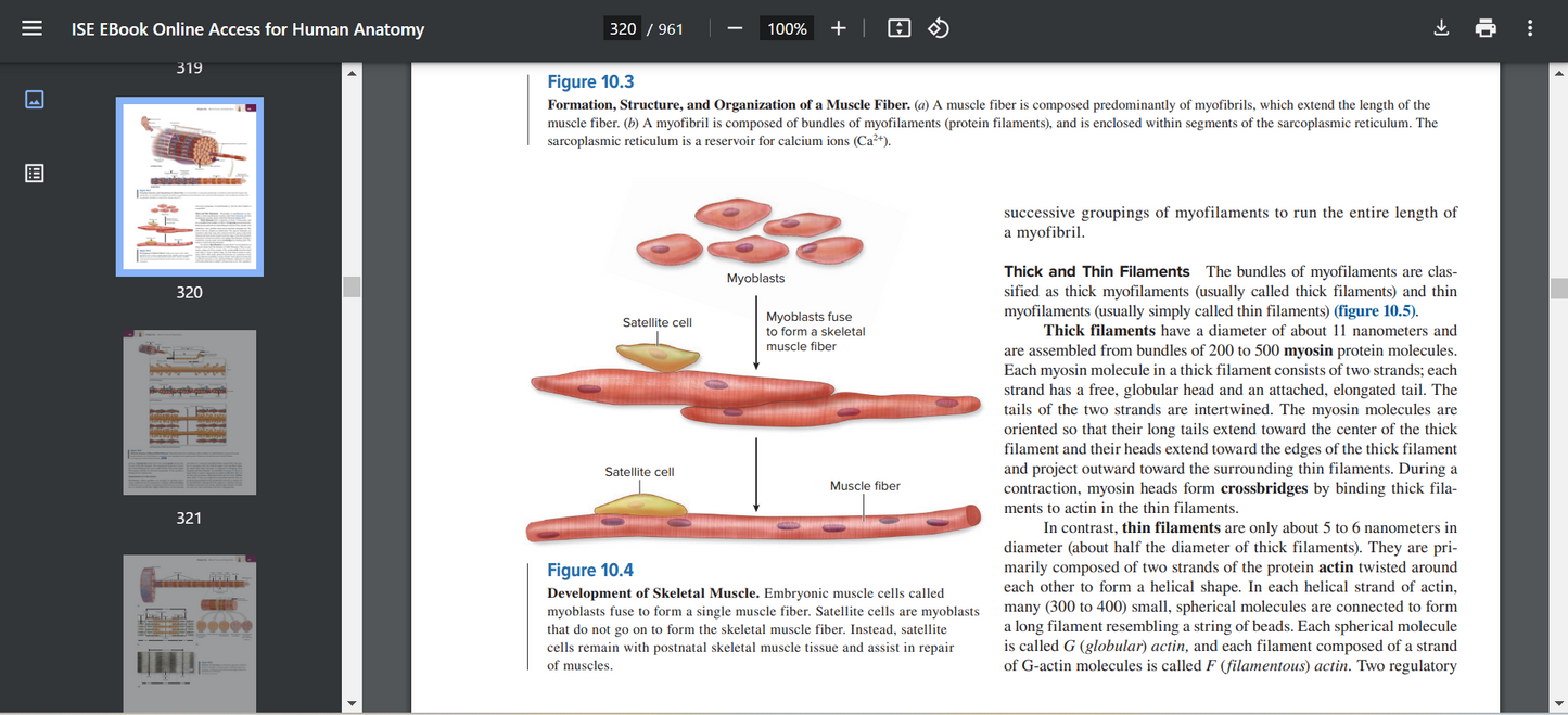 Human Anatomy 6th Edition Searchable PDF