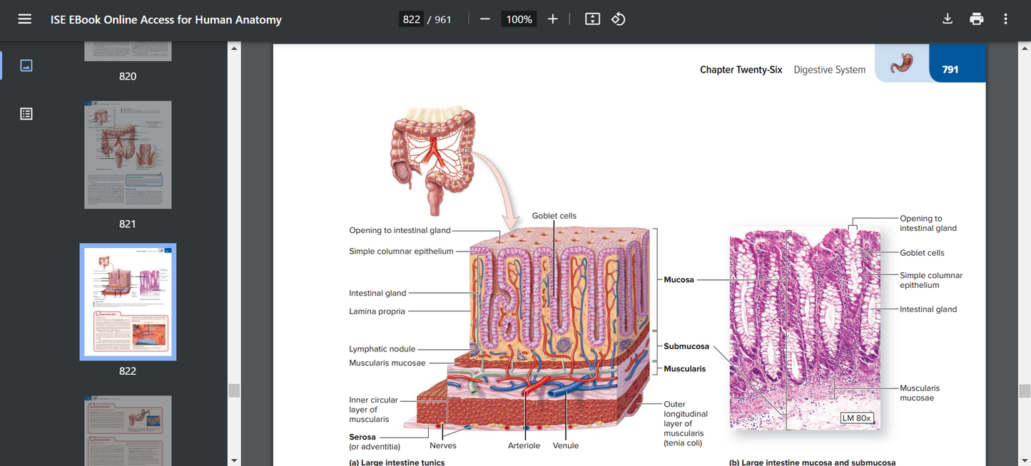 Human Anatomy 6th Edition Searchable PDF