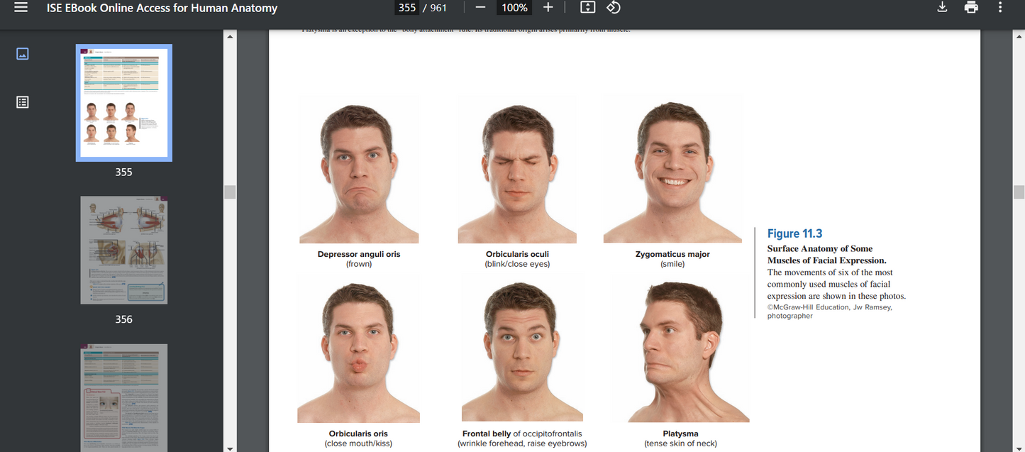 Human Anatomy 6th Edition Searchable PDF